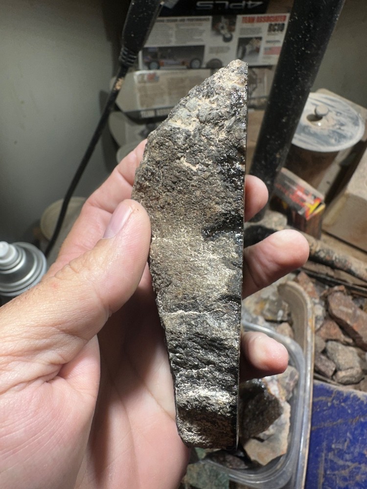 Dinosaur bone rough **hxtled end cut.