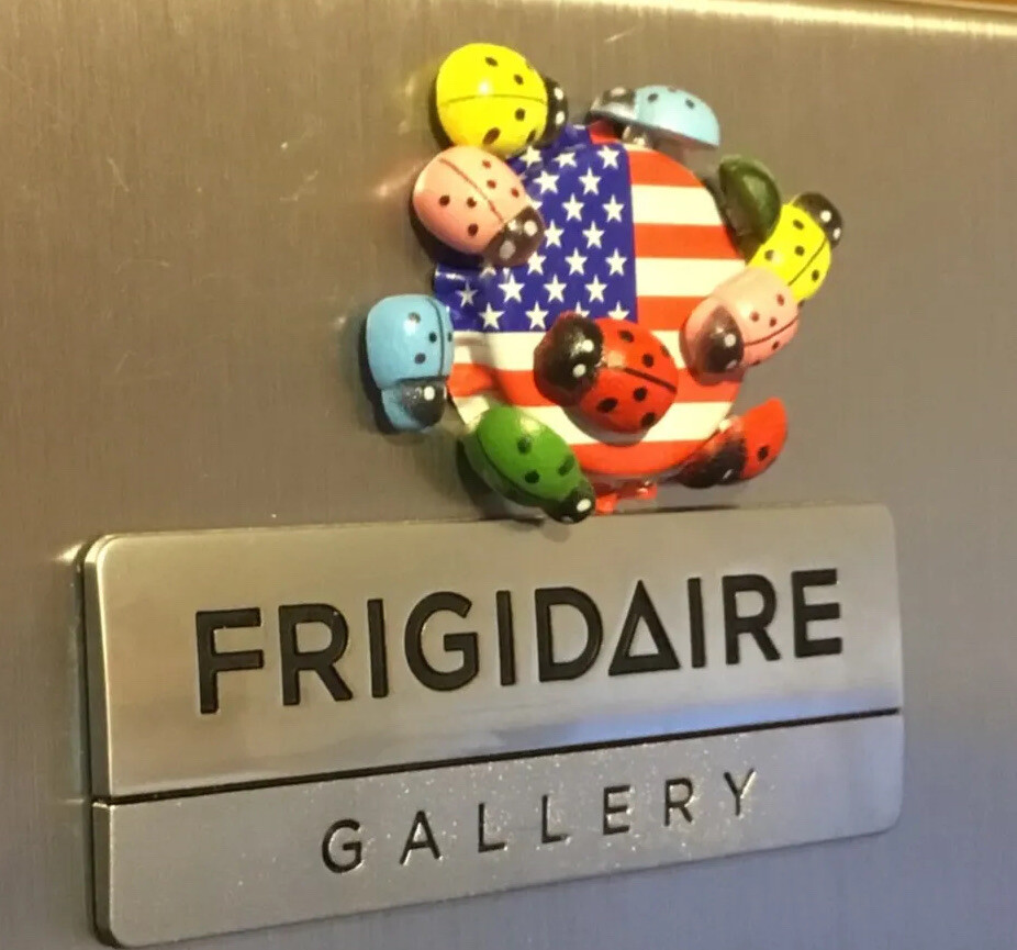 3D Ladybug Fridge Magnet Lot Handcraft 👻🧲 (10) Pc Mini Style