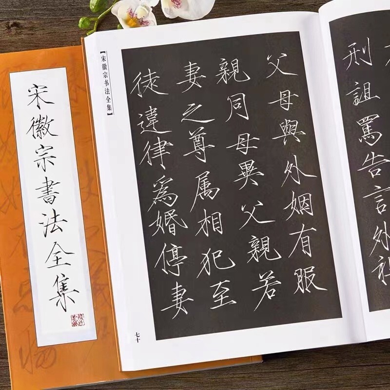 Chinese Calligraphy Copybook Pen Write