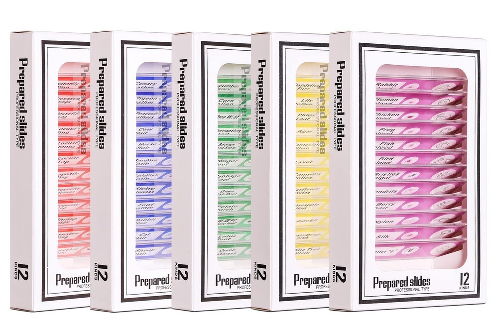 Prepared Plastic Microscope Slides with Specimens for Kids, Microscope Sample Sl