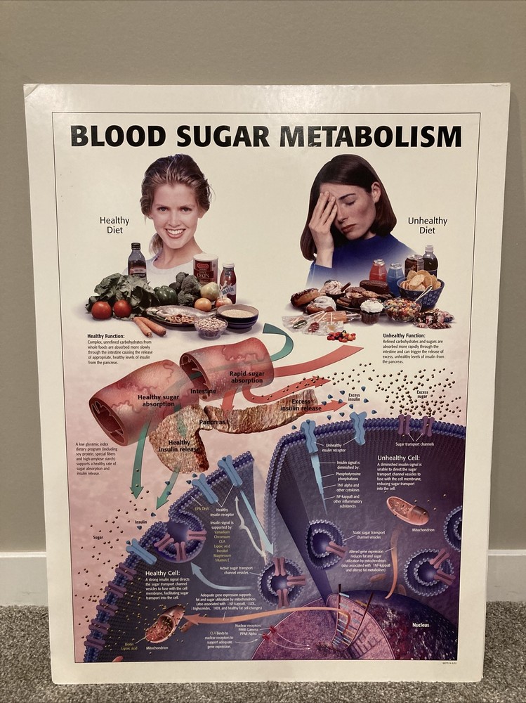 Advanced Nutrition Posters Vintage