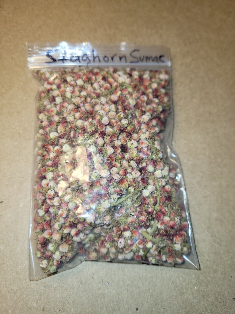 Staghorn Sumac Magick Medicinal