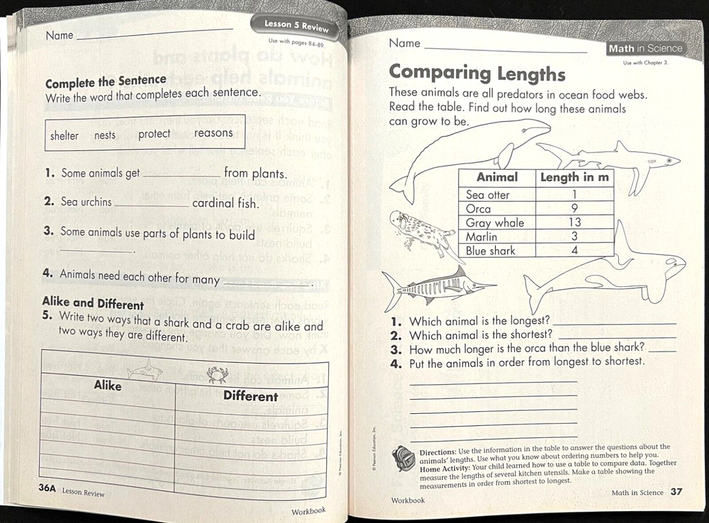 2nd Grade - SCIENCE - WORKBOOK - STUDENT EDITION (2006, Scott Foresman)