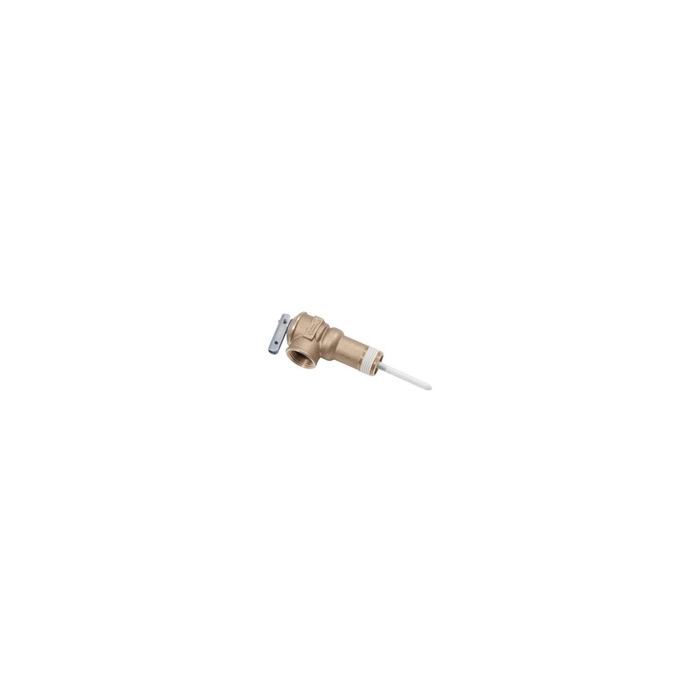 Reliance 100108456 T & P Valve, 2 In. - Quantity 1