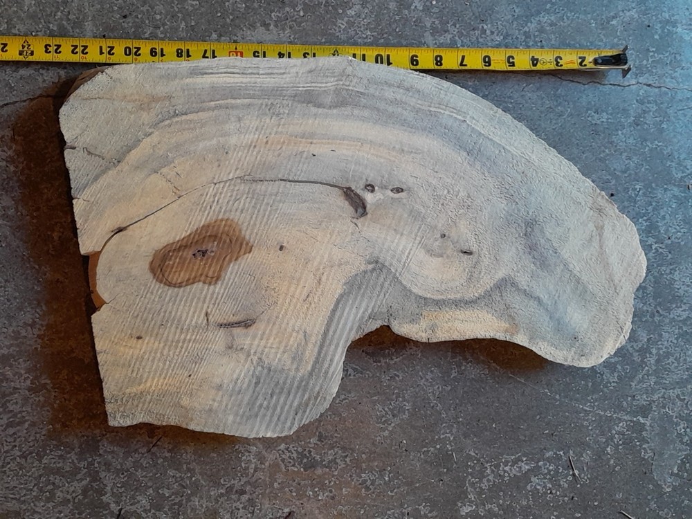 2 Inch Thick Live Edge Maple Slice