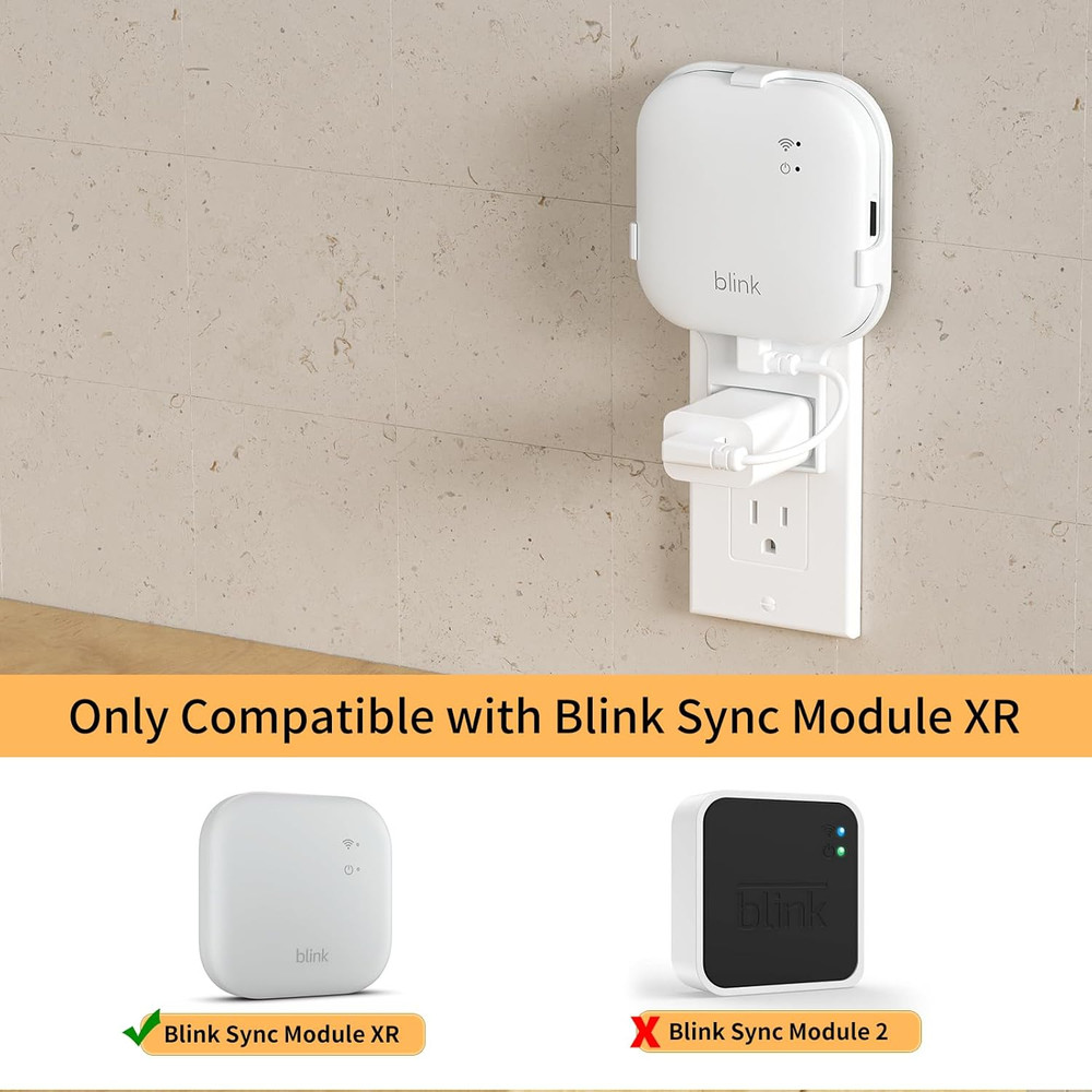 Blink 256GB Microsd Card for Blink Sync Module XR, Easy Move Mount Bracket for A