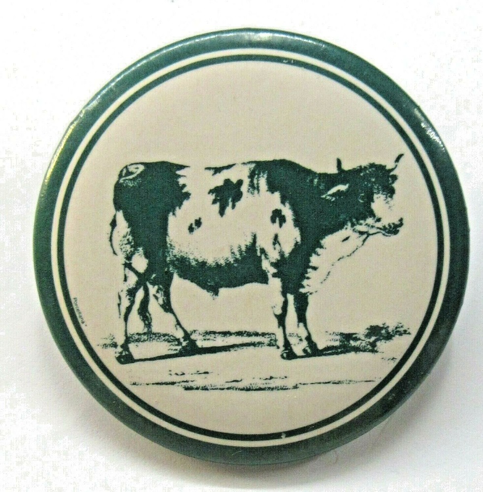 older DAIRY COW larger 1.75" pinback button ^