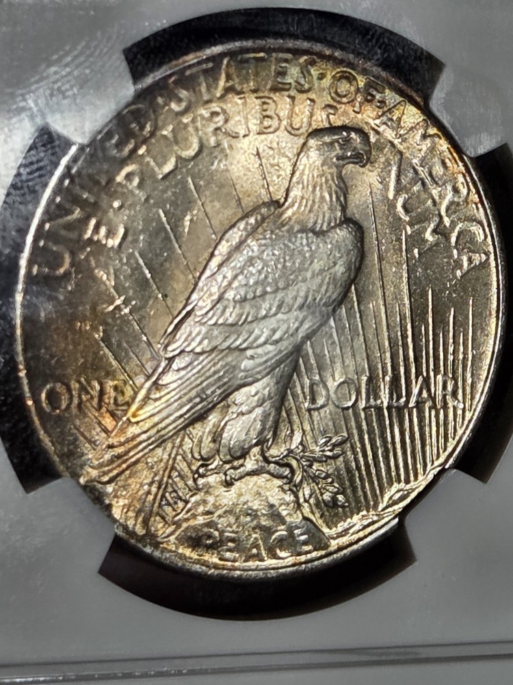 1925 $1 Peace Dollar NGC MS65 Toned