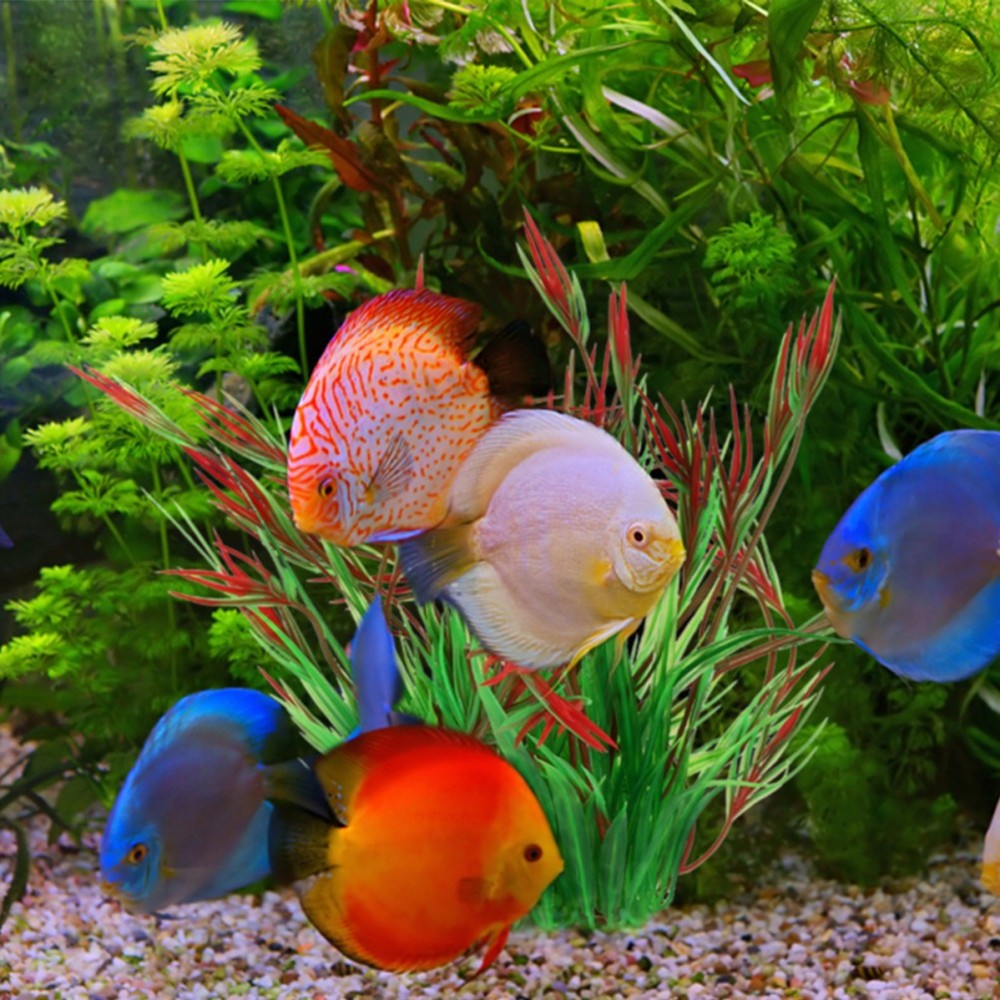 2 Pcs Plastic Aquarium Plants Fish Decorations for Tank Grass Artificial