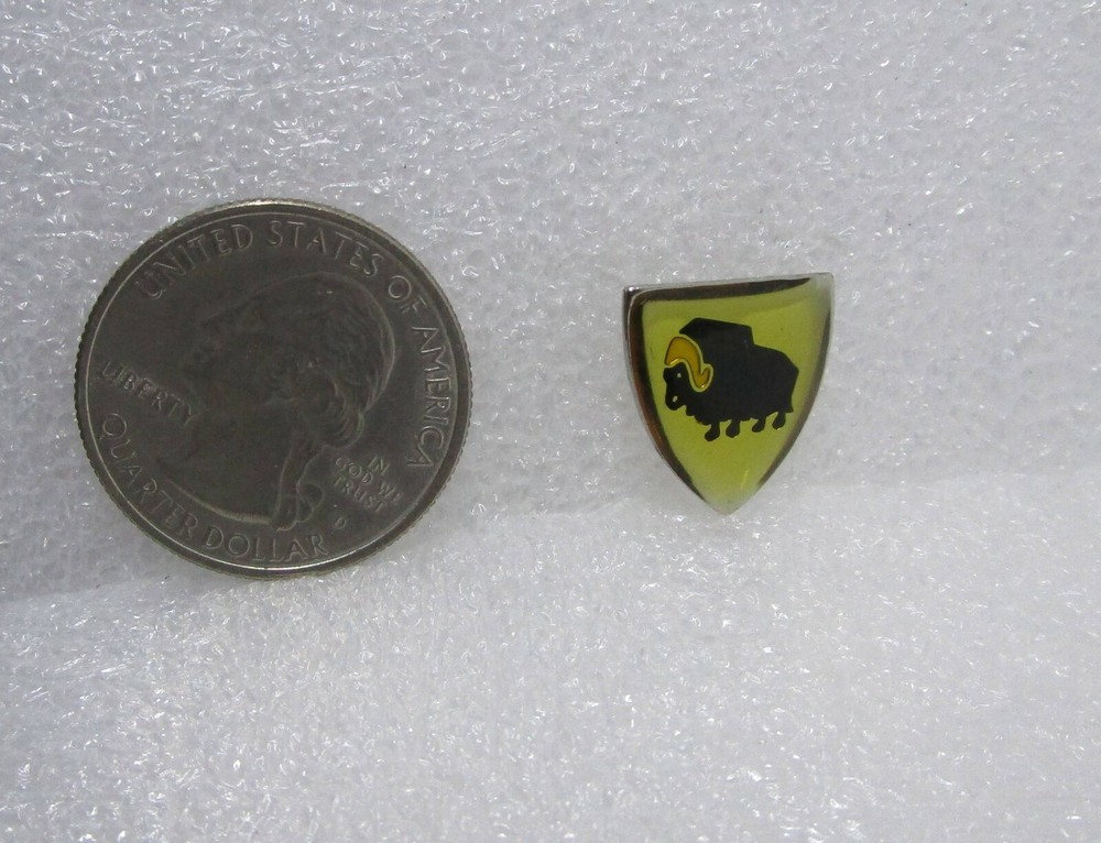 Buffalo Bison Pin