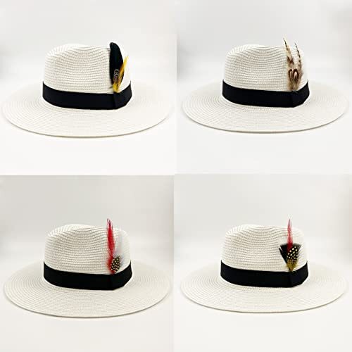 Hat Feathers, Assorted Natural Feathers Colorful Real Feathers Packs