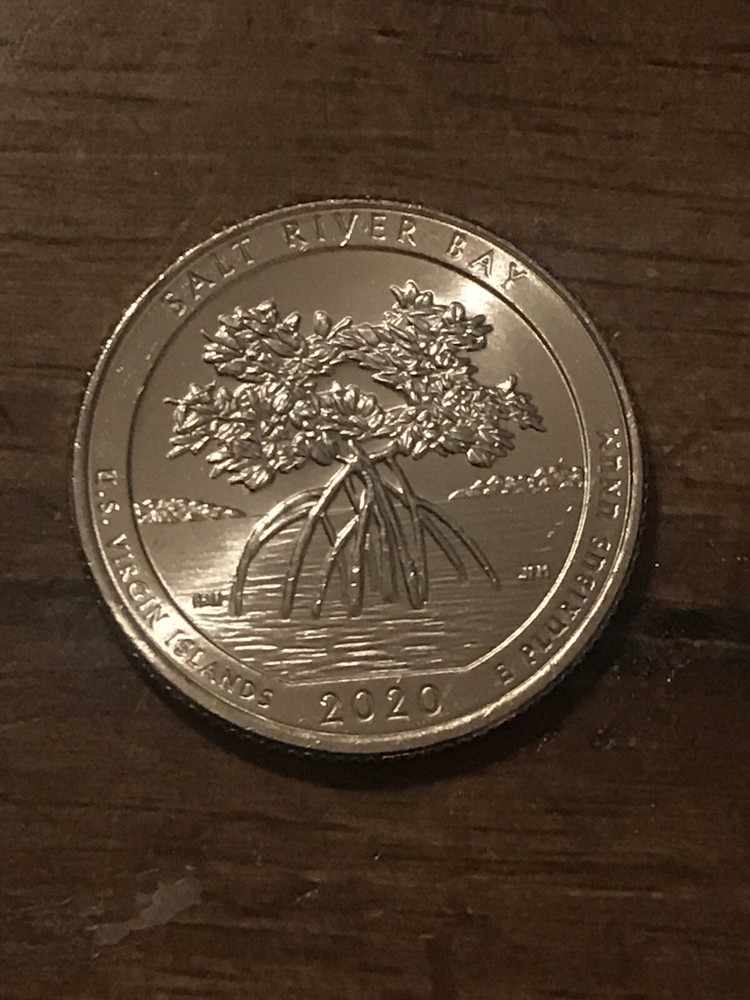 2020 P Salt River Bay Quarter • BU • ATB • #803