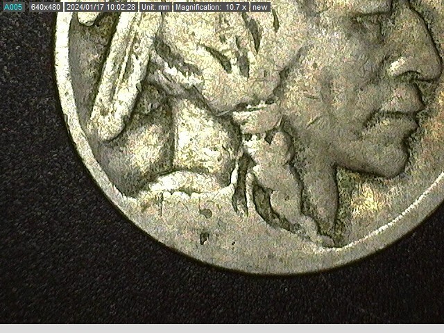 1915 -- Buffalo Nickel