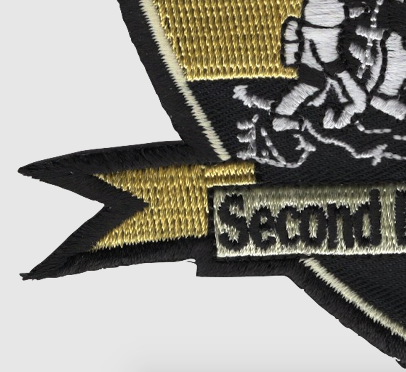 2nd Battalion 24th Marines Patch