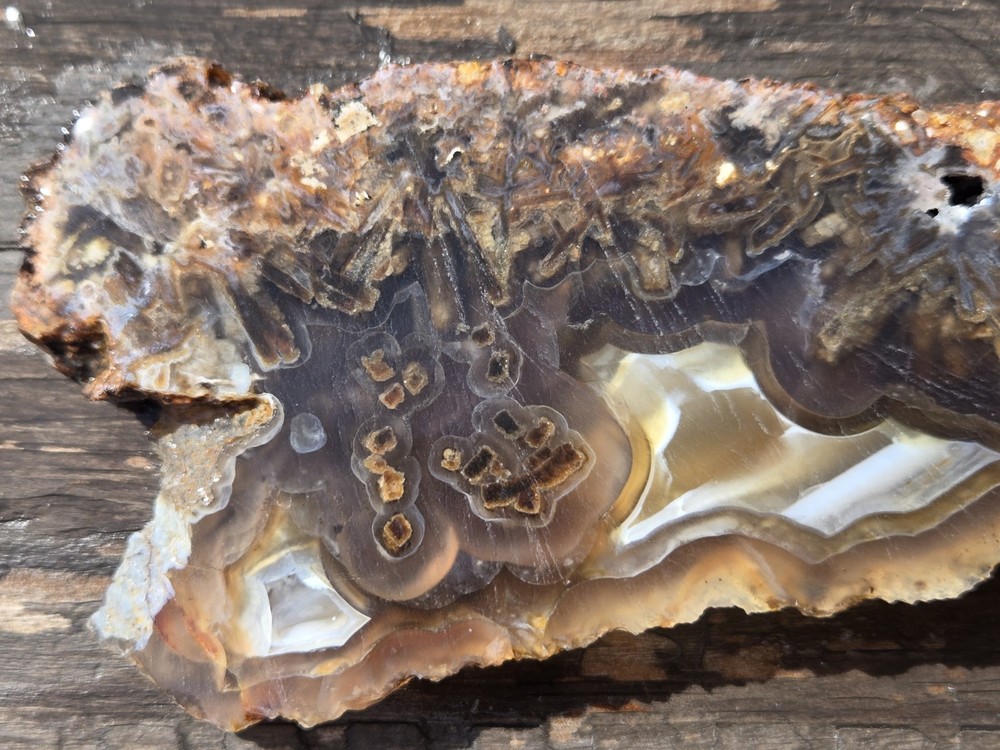 Turkish Agate Slab Slice Lapidary Unique