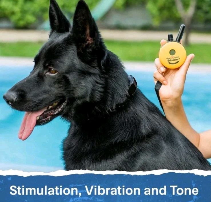 Finger Trainer FT-330 Remote Dog Training Collar by E-Collar Technologies