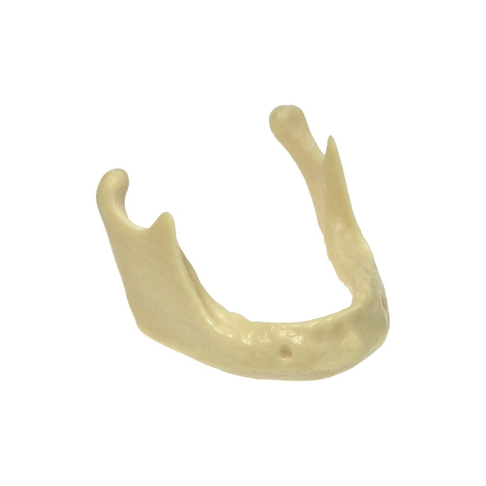 Dental Implant Mandible Jaw Model Basic Drilling Insertion Practice M2022