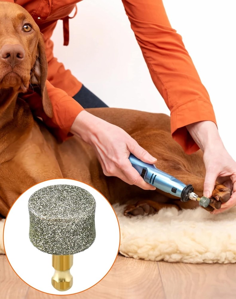 QWORK Dog Nail Grinder Replacement Head 10 Pack Pet Diamond Tip Trimmer Bits