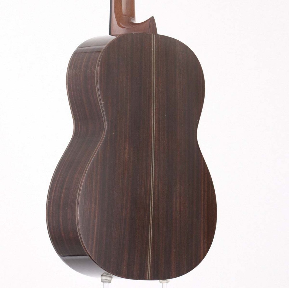 Asturias Classical Guitar with Hard Case