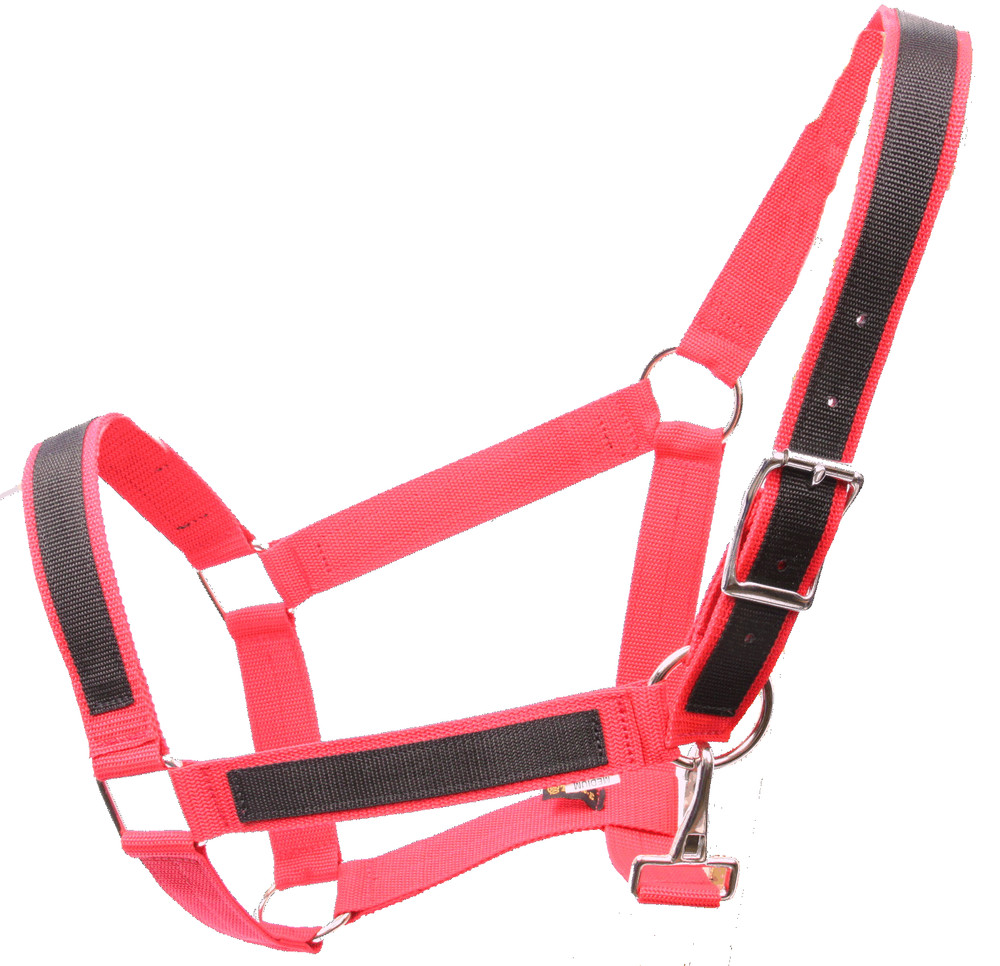 Nylon Large Draft Horse Halter 1.5″ with Overlay