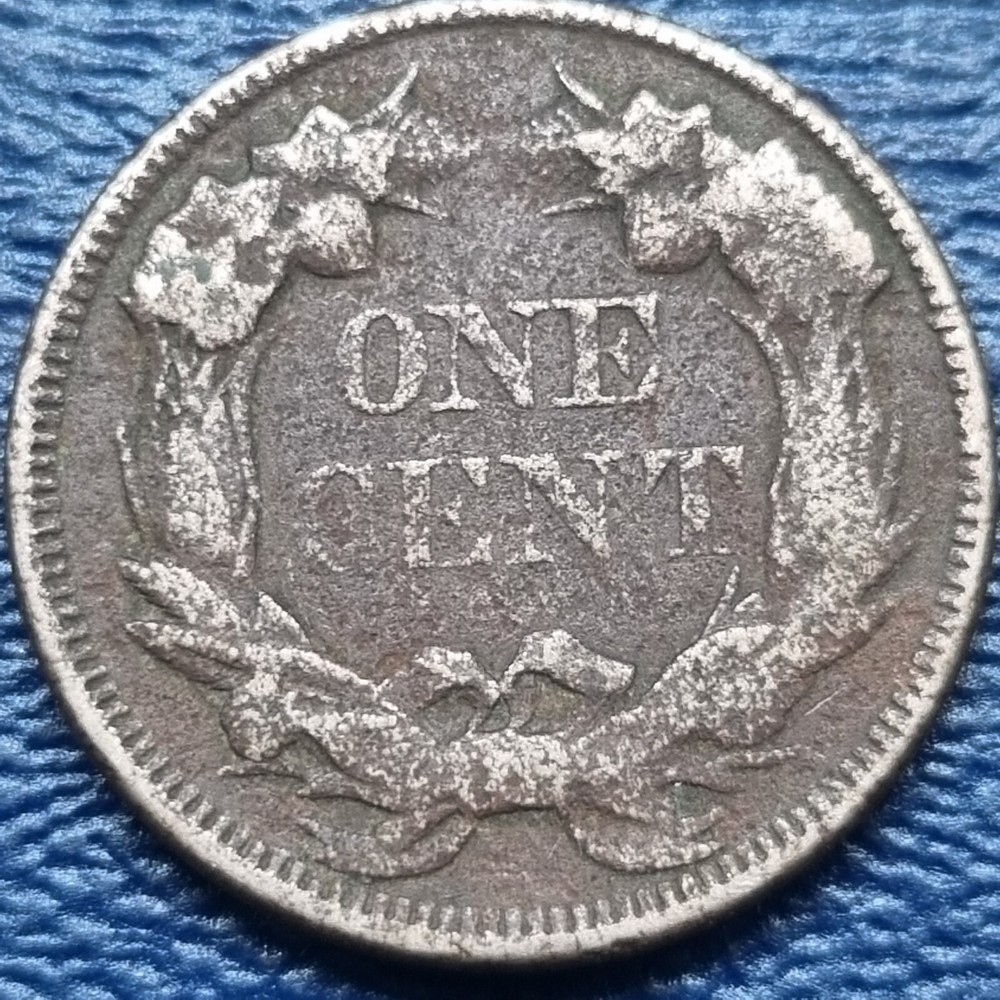 1858 Flying Eagle Cent 1c Better Grade Dark #72923