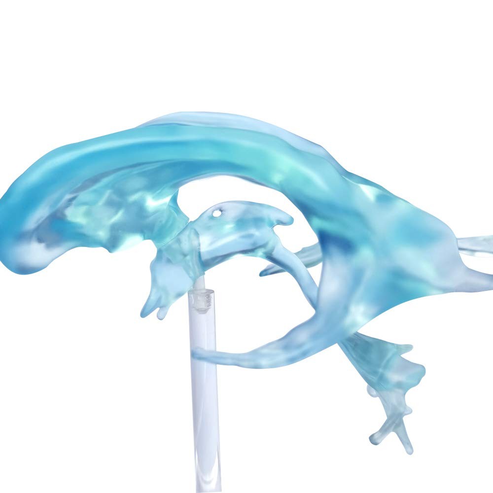 EVOTECH SCIENTIFIC Human Brain Ventricles Model for Anatomy Teaching Learning...
