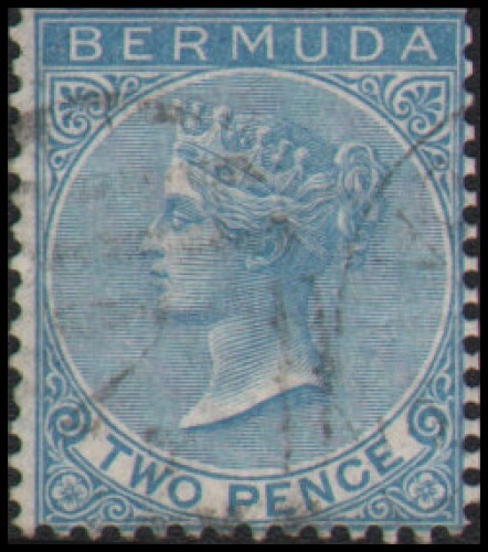 Bermuda #2 Used