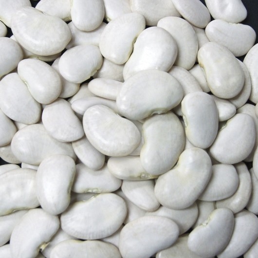 Jack Rabbit Large Lima Beans, 20 Pounds