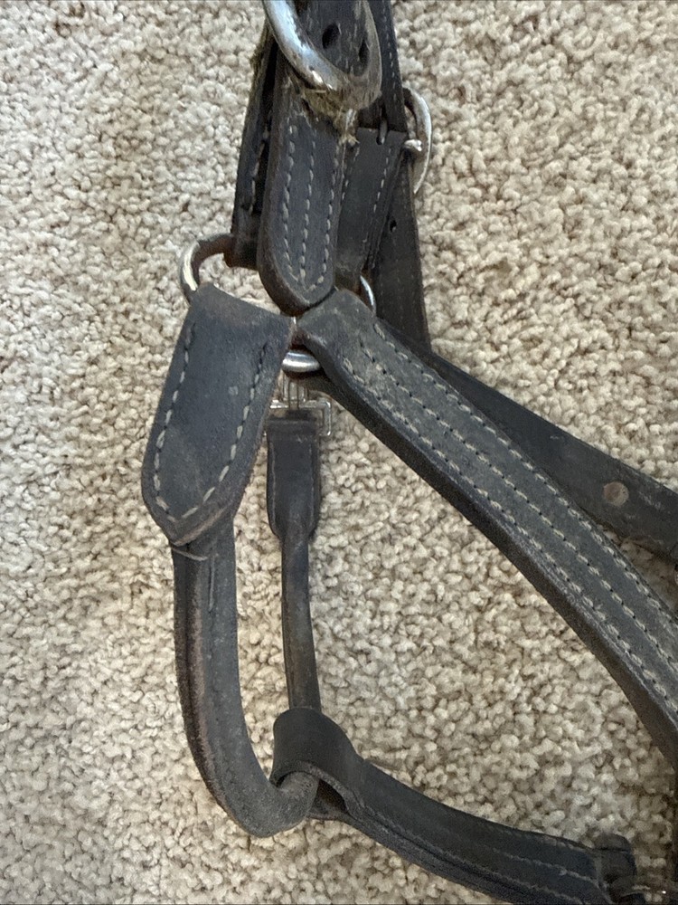 BROKEN Leathed Horse Size Halter - Use For Hardware
