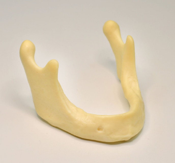 10PCS Dental Mandible Jaw Model for Basic Drilling Implant Insertion Practice