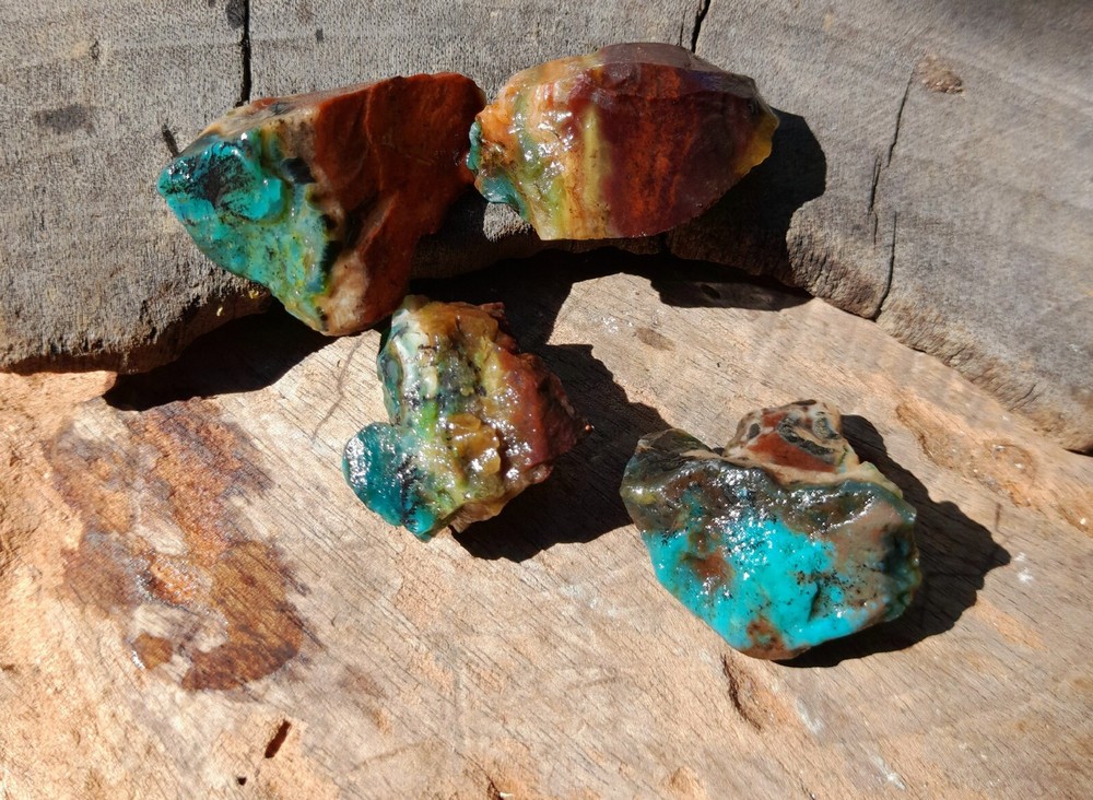 Get 4pc, Rare Natural Blue Opalized Petrified Wood, Indo Java Gem Minerals