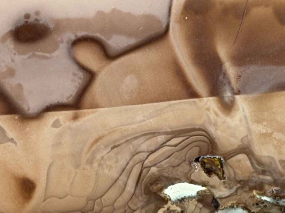 Willow Creek Jasper Slab, Lot#332