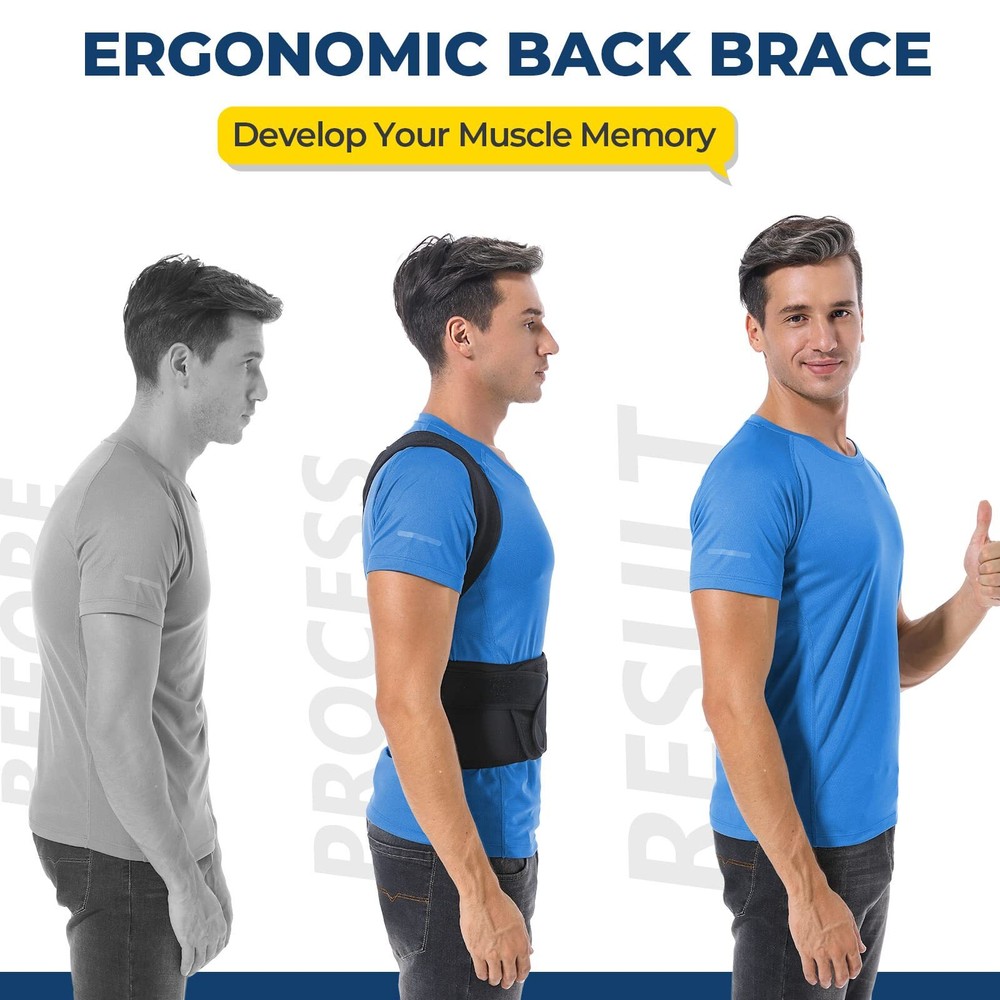 Adjustable and Fully Back Support Improve Back Posture and Lumbar Support