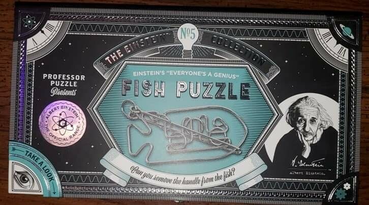 Professor Puzzles Einstein's Fish Puzzle