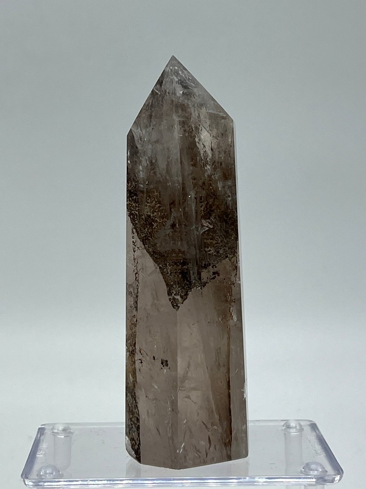 Dendritic Quartz D