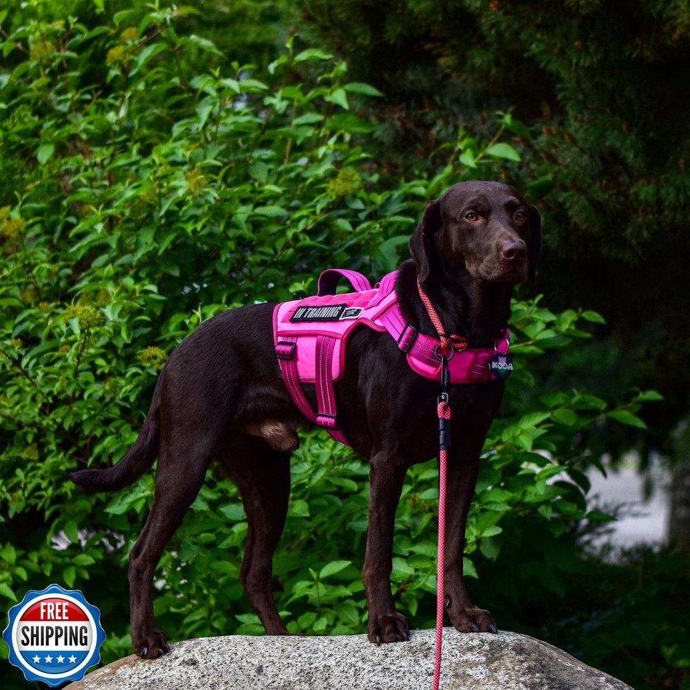 Tactical Dog Harness Medium Sized, Heavy Duty No Pull Dog Harness with Handle
