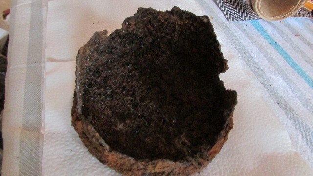 WW1 Relic German Gasmask Filter- Argonne-