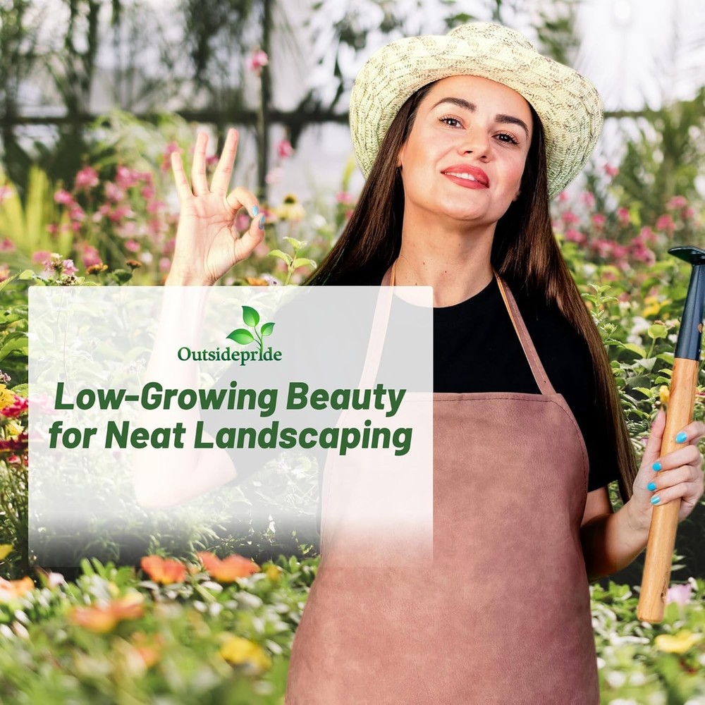 1 LB Low growing wild flower seed from Outsidepride.