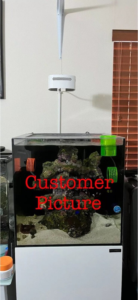 Ai Prime Light shade