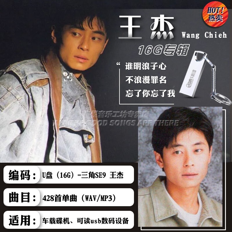 王杰u盘专辑歌曲谁明浪子心经典老歌国粤语无损高音质车载usb优盘