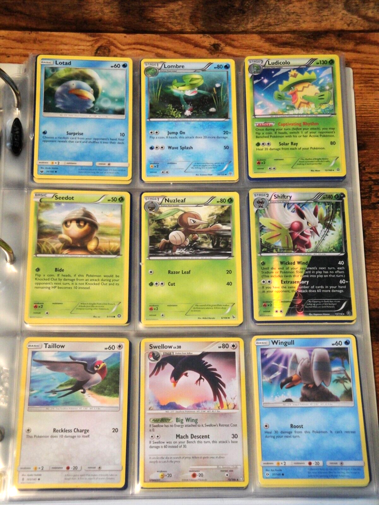 🌟ENTIRE GENERATION 3 POKEMON CARD COLLECTION🌟 # 252-386 Complete Set | Curated