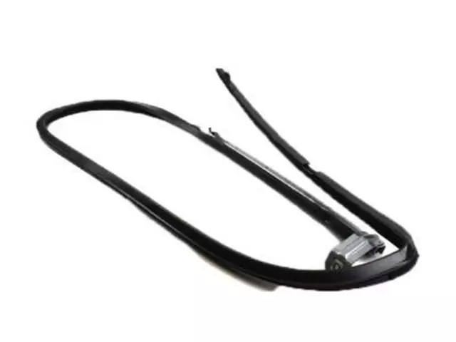 Genuine Ford Window Channel CC3Z-2521596-B