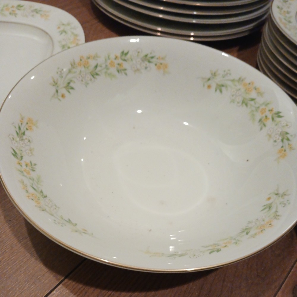 FOUR CROWN CHINA DINNERWARE 344 CONTESSA 43 pcs