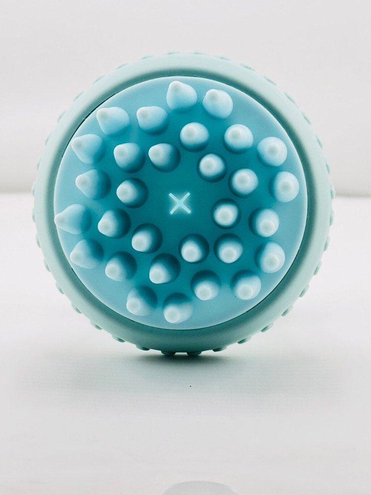 Pet Wash Brush