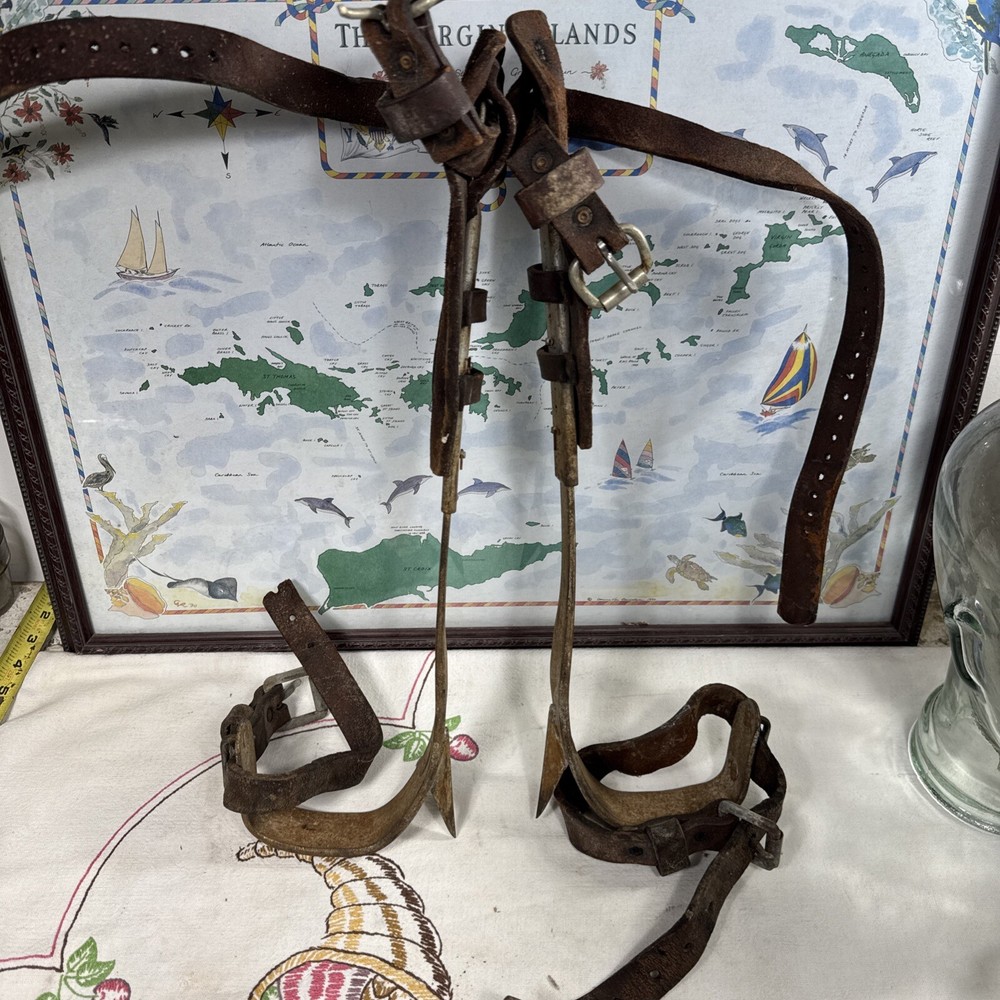 Vintage Pair Tree Pole Climbing Gaffs Spikes Adjustable