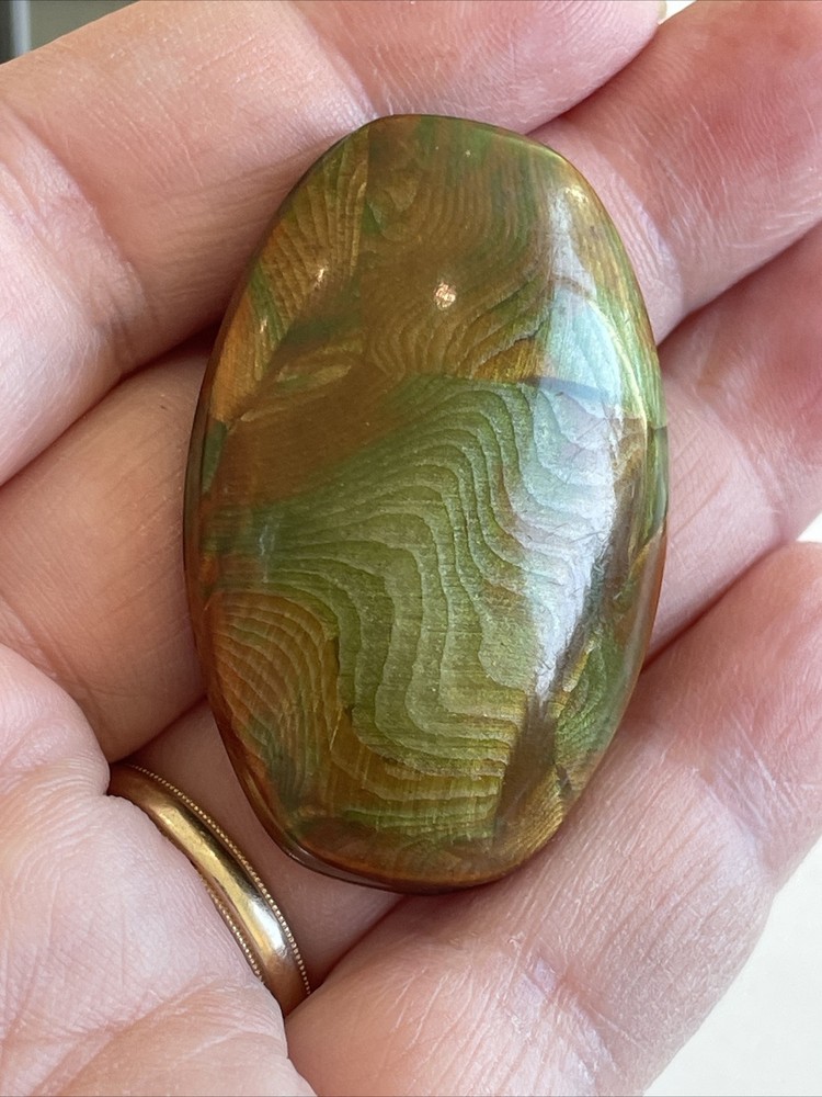 Large Unusual Hollow Celluloid Button Green Orange