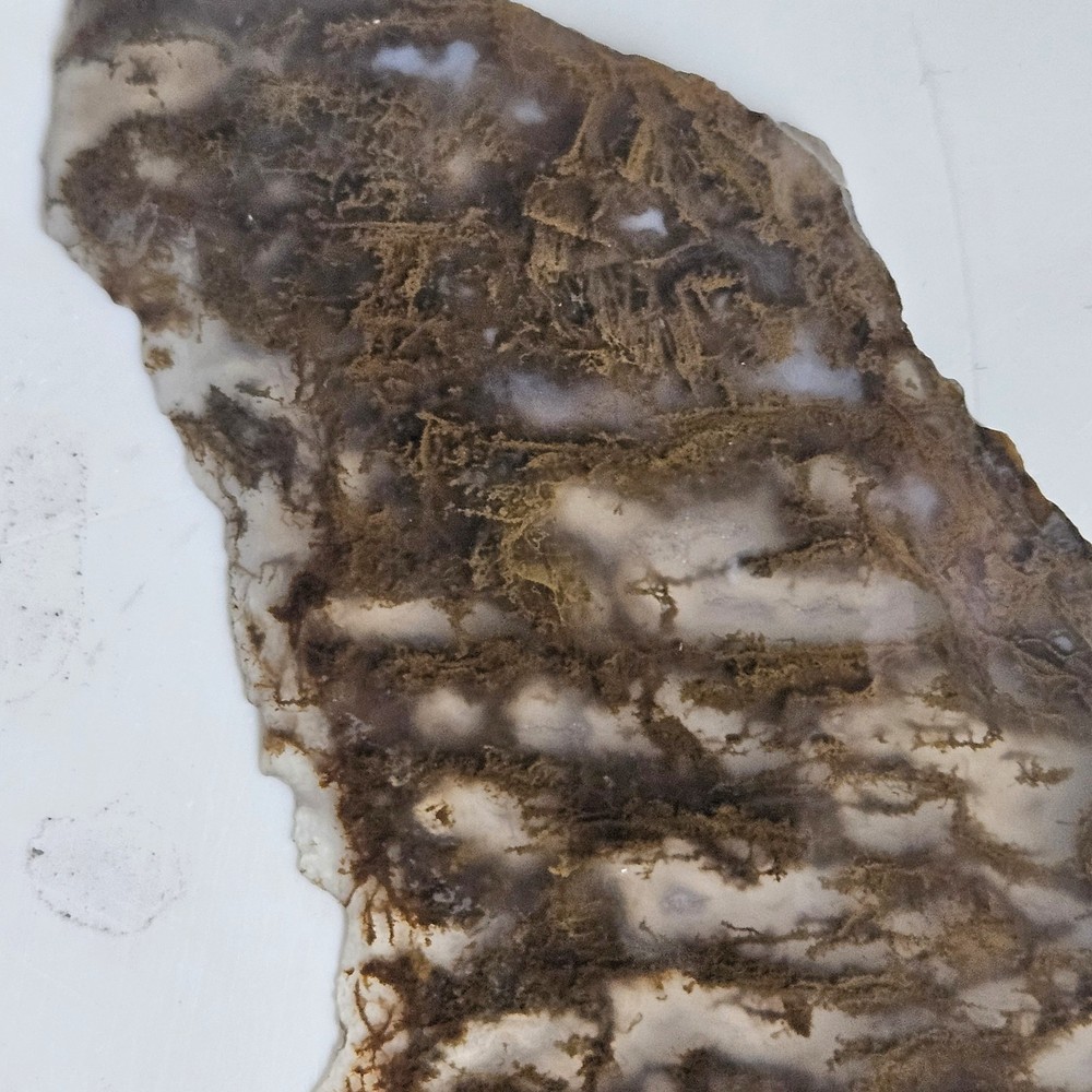 Plume Agate Thin Slab 63 Grams