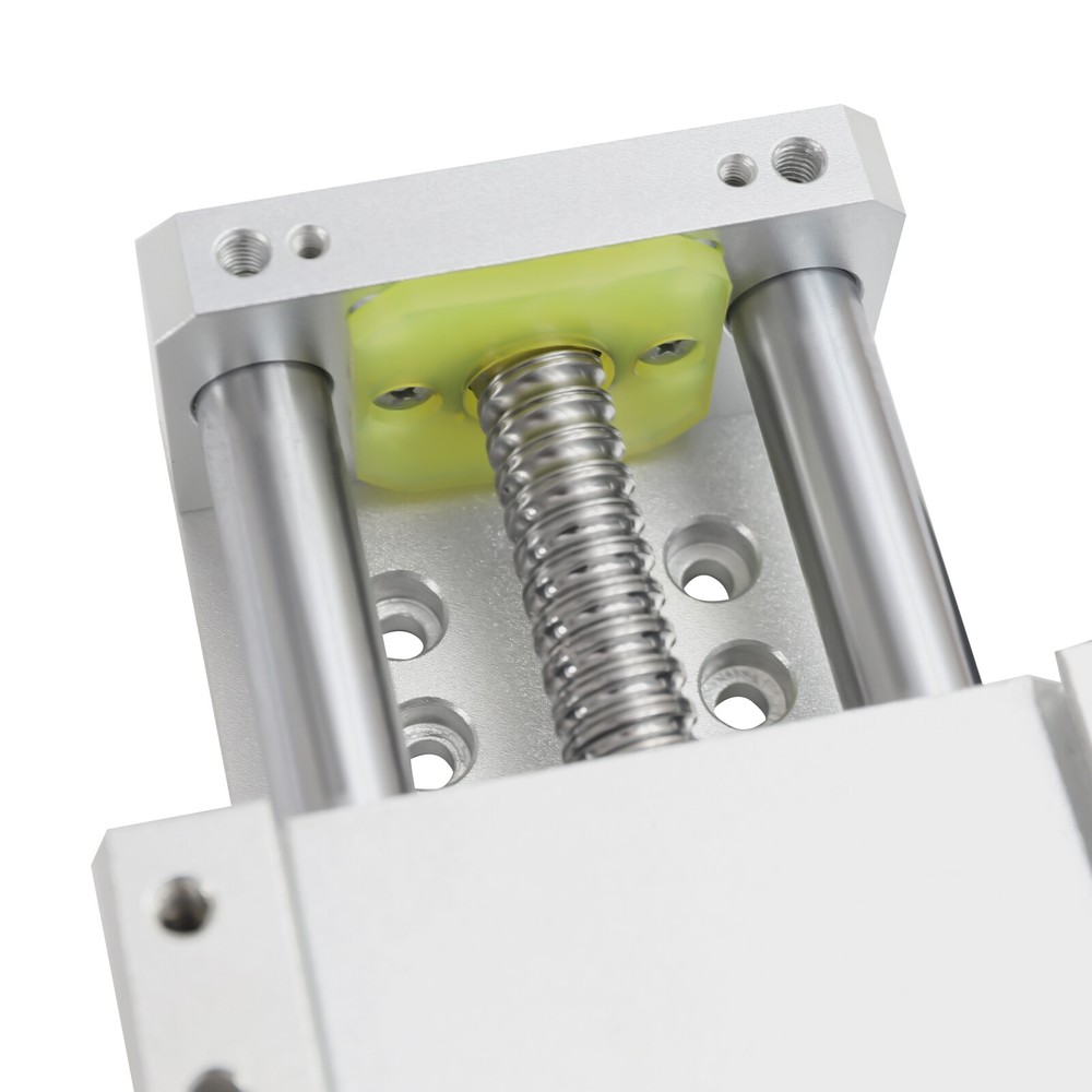 100mm Ballscrew 1605 Double Optical Axis Linear Rail Guide Linear Stage Actuator