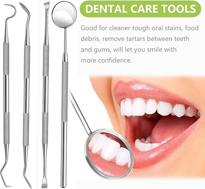 Stainless Steel Dental Tool Set