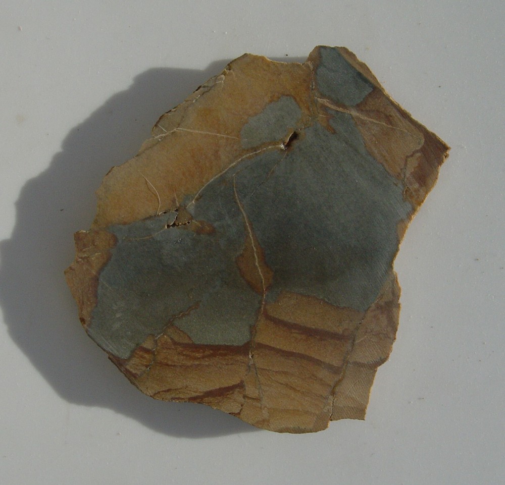 Owyhee Picture Jasper Lapidary Slab 1432